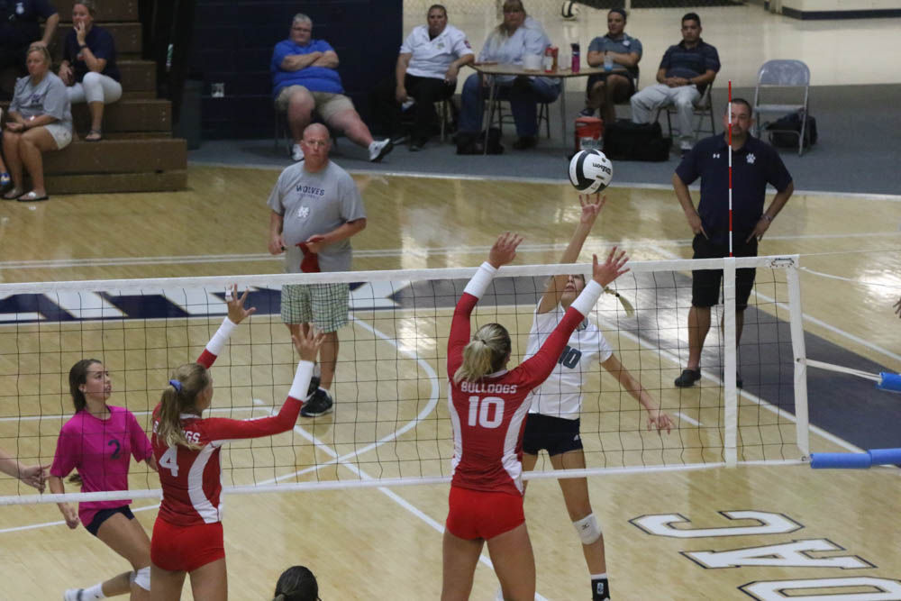Gallery: Girls volleyball - Crown Point at Michigan City
